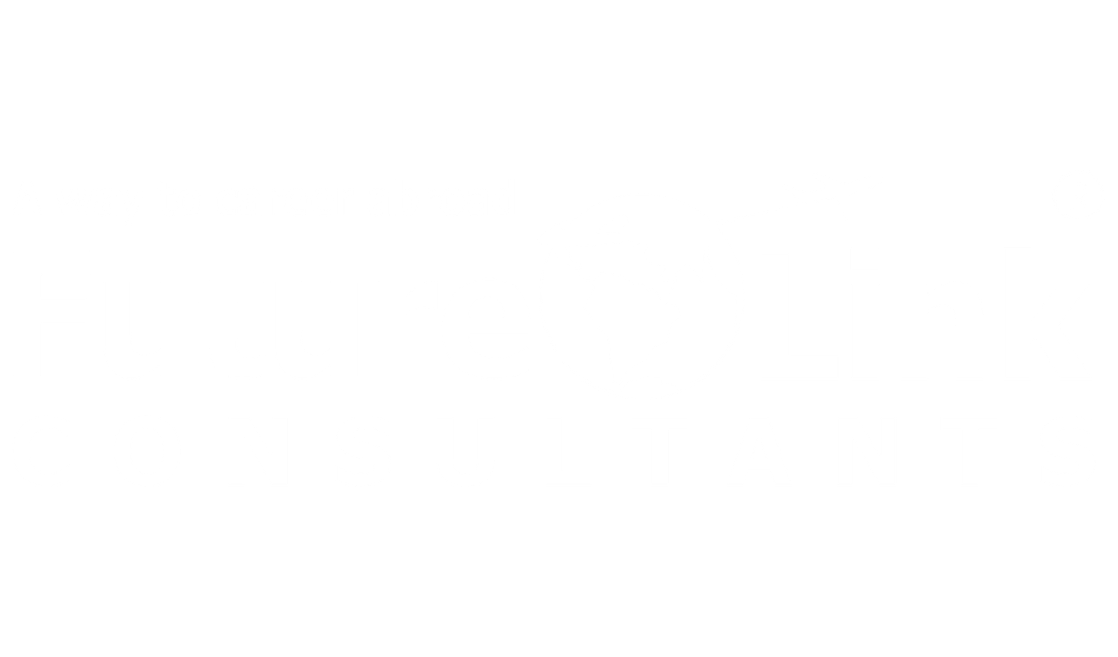future link consultants